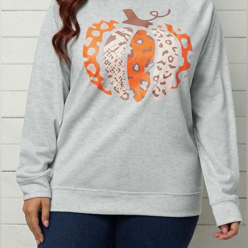 NWT Plus Pumpkin Crewneck sweater 🍂🤎